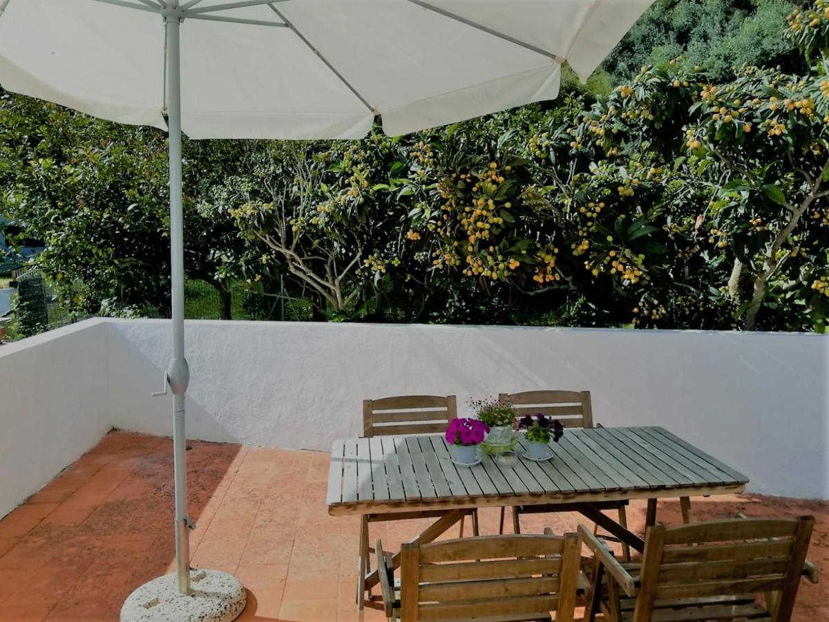 Bed and Breakfast Cala Vinagra House Carloforte  Exterior foto
